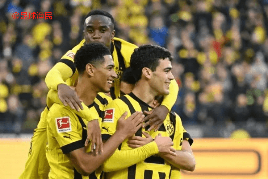 南特遭遇主场失利，保级形势愈发严峻的简单介绍